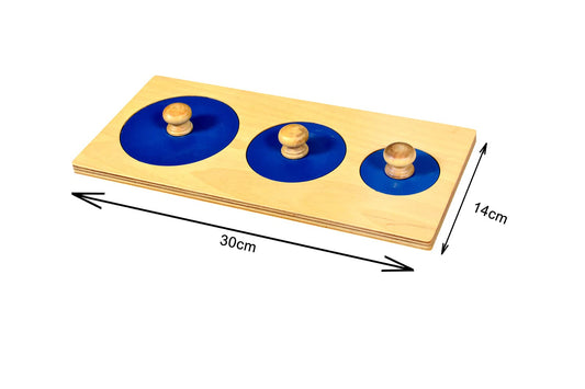 Three Circles Puzzle