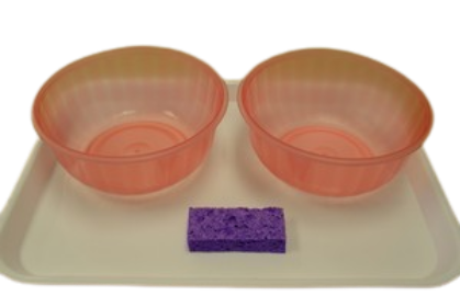 Sponging set